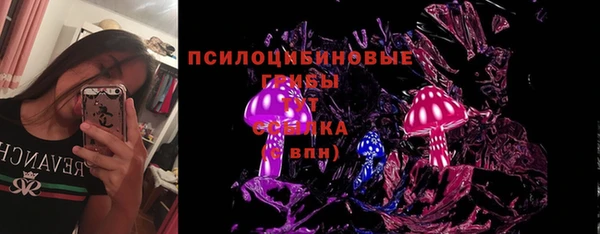 трава Аркадак