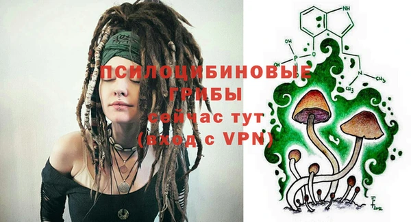 трава Аркадак