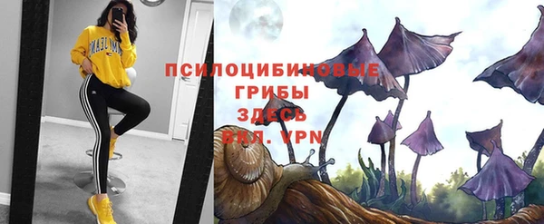 метадон Армянск