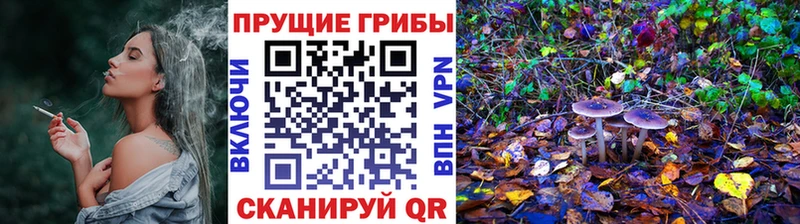 Галлюциногенные грибы мухоморы  даркнет какой сайт  Почеп 